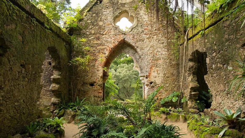 The Other Side of Sintra - Forgotten Woods Tour - Exploring Sintra’s Hidden Gems