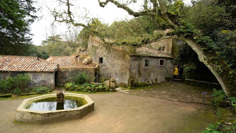 The Other Side of Sintra - Forgotten Woods Tour - FAQ