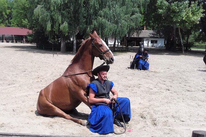 The "Puszta" Horse Show - Key Points / Takeaways