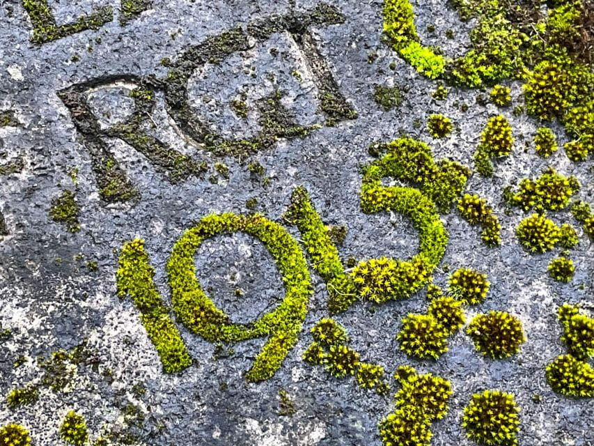 The Rather Unknown Melaten - Key Points