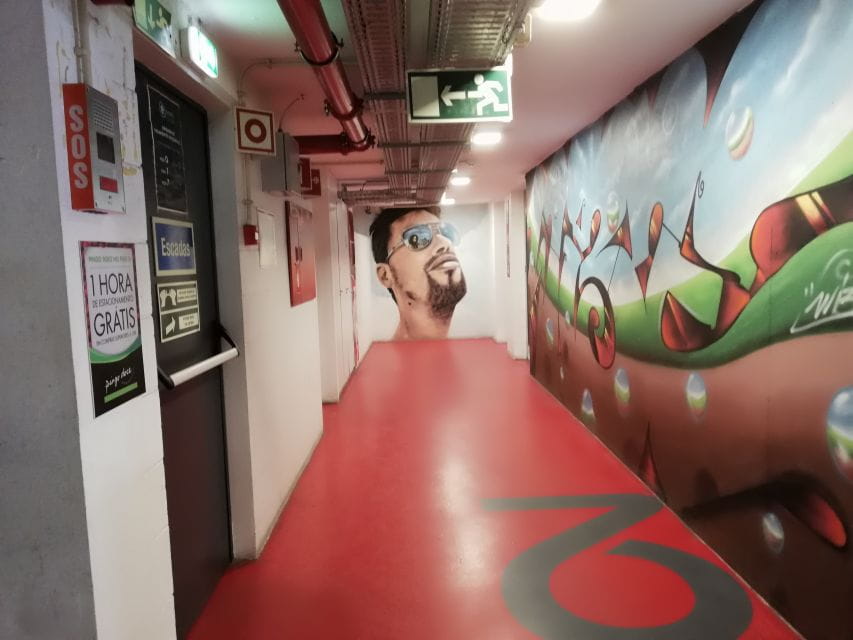 The Real Lisbon Street Art Tour by Minivan - Pricing and Booking Details