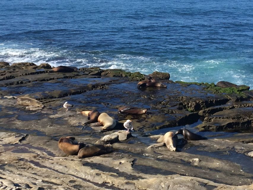 The San Diego Highlights Tour - Sights and Attractions