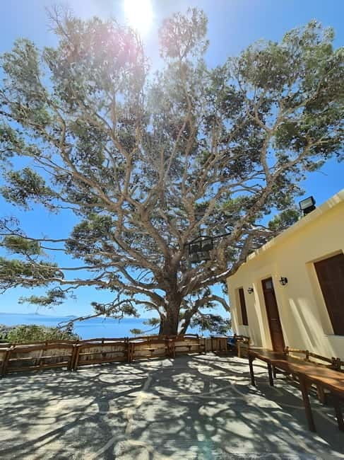 The selective food tour Feel like local from Heraklion - Who Will Love This Tour?