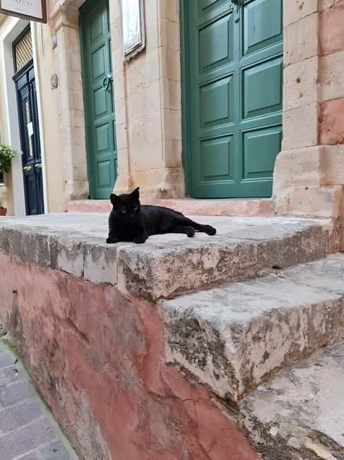 The selective food tour Feel like local from Heraklion - Final Verdict: Is It Worth It?