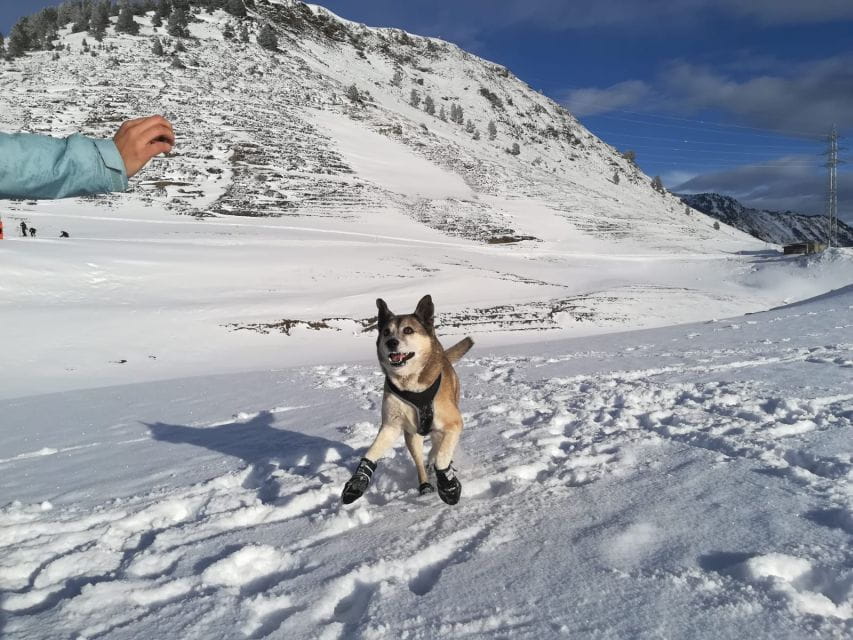 The Stripe: Winter Sources Snowshoe Walk - Guidance and Safety
