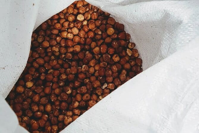 The Turin Chocolate Factory Guided Tour & Tasting - Visiting the Chocolate Production Laboratory