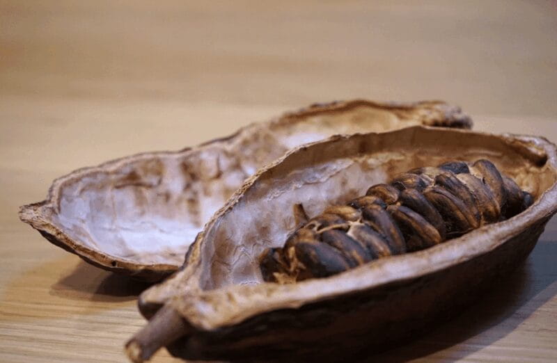 The Turin Chocolate & Wine Tasting Experience - An Authentic Taste of Turin’s Food and Culture