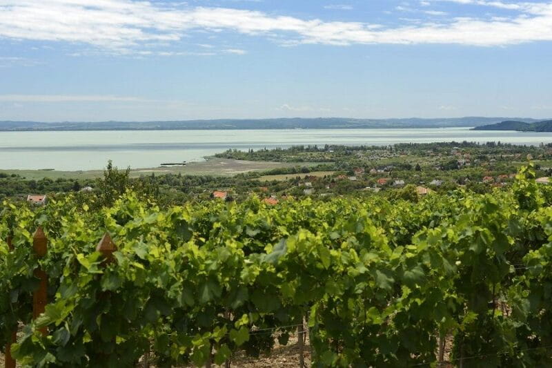 The Turquoise Sea of Hungary: Lake Balaton Private Tour - Who This Tour Is Perfect For