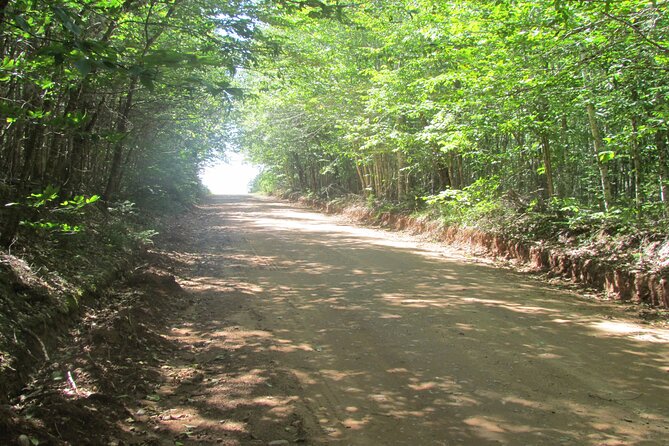 The Ultimate Anne of Green Gables Private Tour - Explore Green Gables
