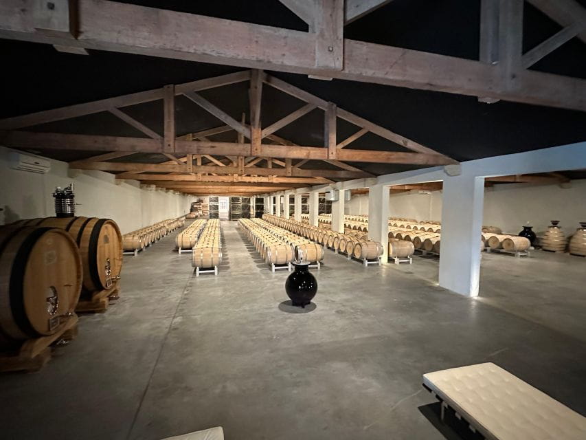 The Ultimate Wine Tour for 1855 Classified Chateaux - Tasting Renowned Medoc Wines