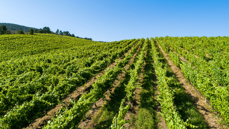 The Valmiñor Viewpoint - Key Points