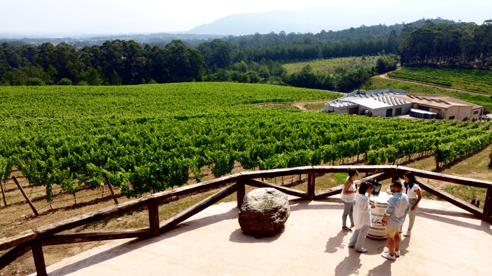 The Valmiñor Viewpoint - Pricing and Booking Details