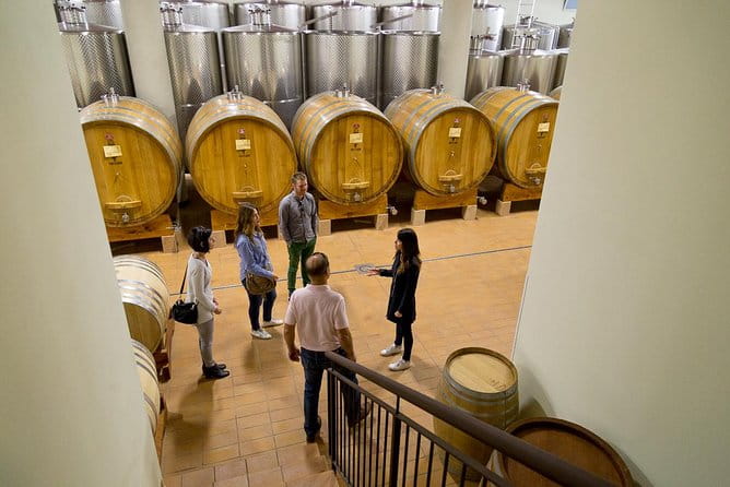 The Valpolicella food & wine driving tour: cheese factory+ winery - Price and Logistics: Worth the Investment?