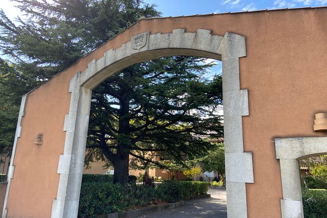 The Vial at the Brotte House - The Brotte Experience: A Taste of Family-Run Excellence in Avignon