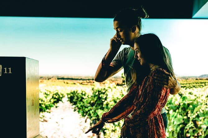 The Vial at the Brotte House - The Sum Up: A Genuine Taste of Family Tradition and Fine Wine