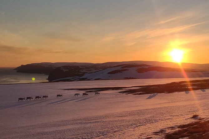 The VIP North Cape Tour (Honningsvåg - Skarsvåg - the North Cape) - Highlights of the Tour Experience