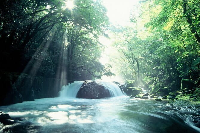 The Way of the Sword With Hyoho Taisharyu - Whats Included in the Experience