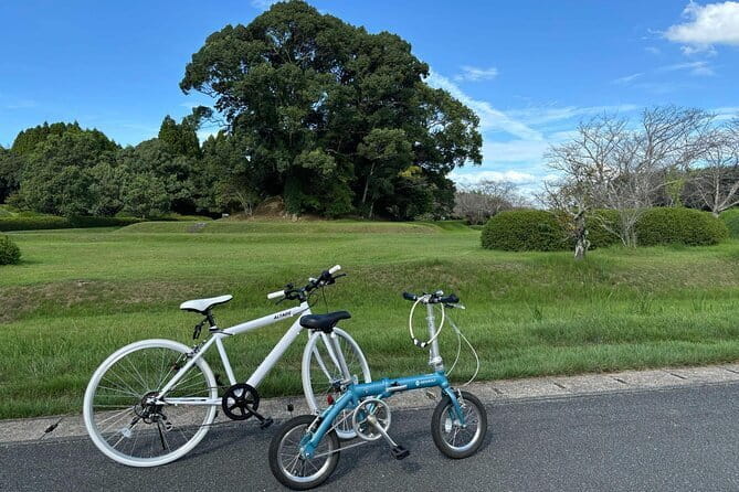 The Way of the Sword With Hyoho Taisharyu - What to Expect During the Experience