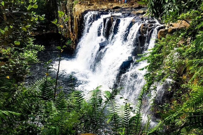 The Wild South Full Day Tour: La Vanille Nature Park, Gris Gris - Exploring La Vanille Nature Park