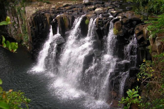 The Wild South Full Day Tour: La Vanille Nature Park, Gris Gris - Relaxation at Gris Gris and Le Morne