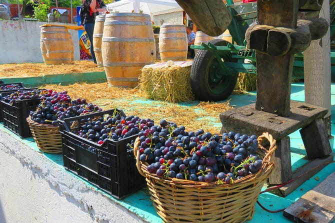 The wine route by bike - The Full Experience: A Deep Dive into the Romanian Wine Bike Tour