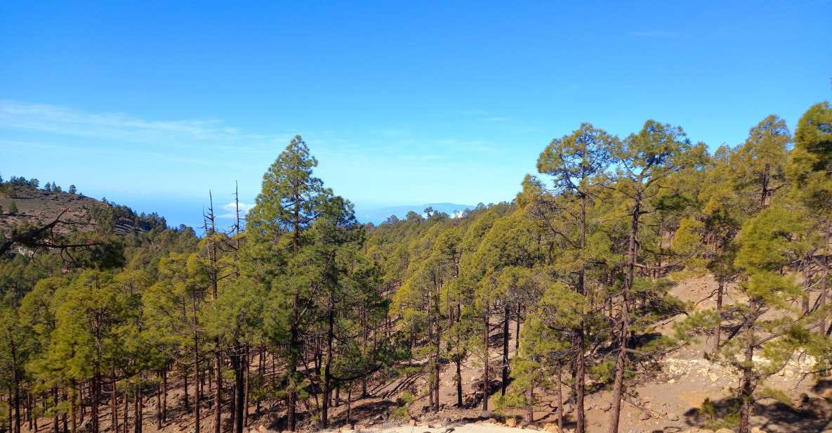 The Wow Factor Walk - Scenic Landscapes