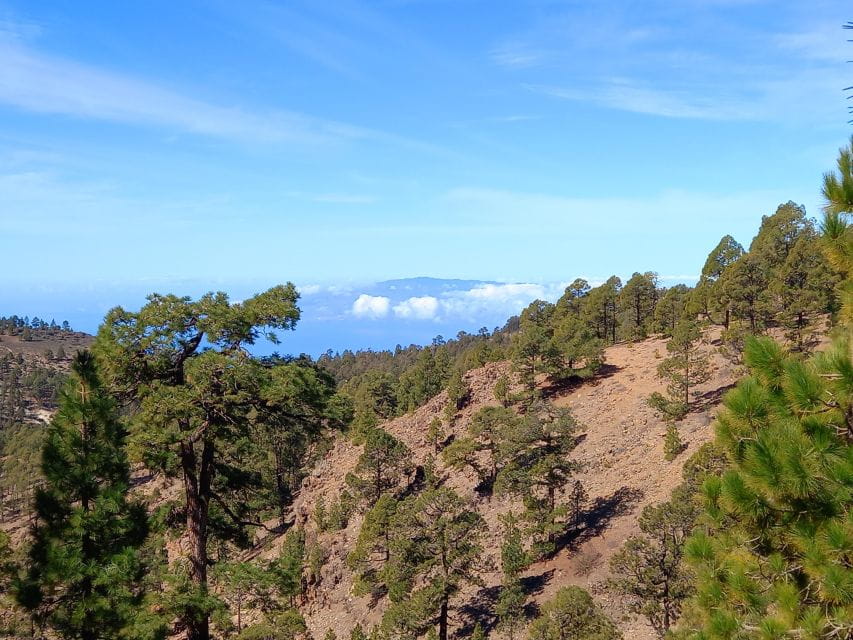 The Wow Factor Walk - Activity Duration