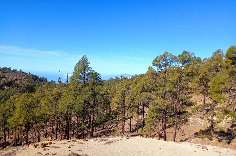 The Wow Factor Walk - Things To Know