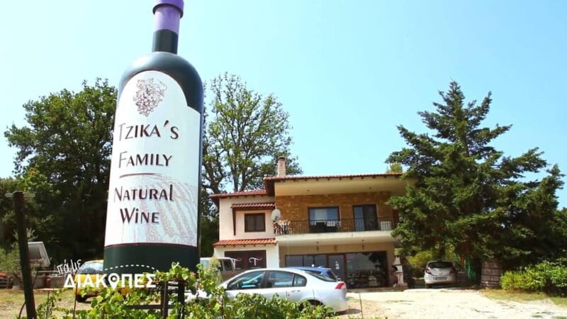 Thessaloniki Day Trip to Petralona Cave,Afytos& Wine Tasting - Key points / Takeaways