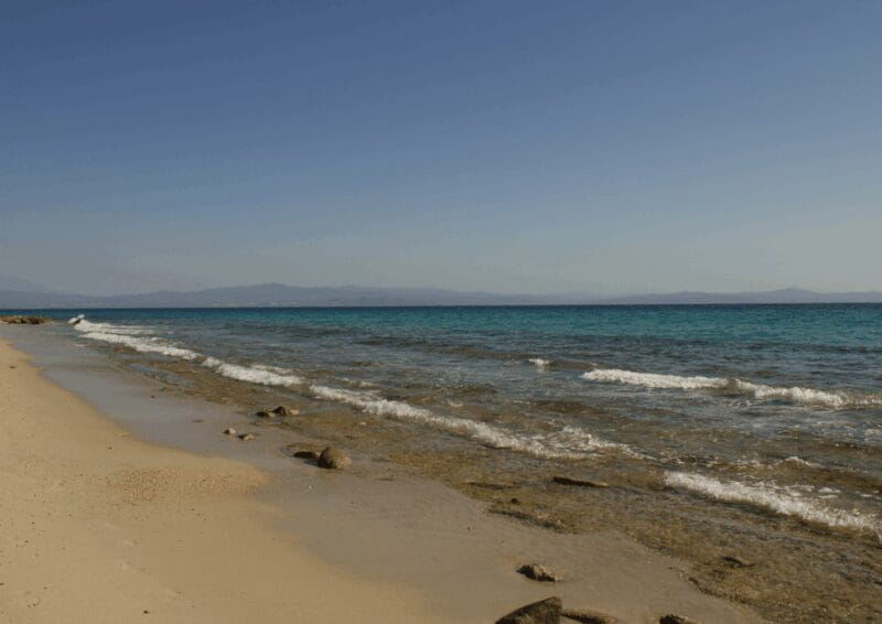 Thessaloniki Day Trip to Petralona Cave,Afytos& Wine Tasting - Final Thoughts: Is This Trip Worth It?