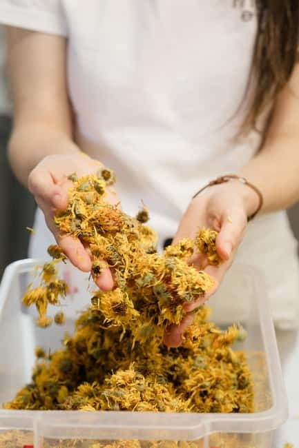 Thessaloniki: Flavours of Greece Food Tasting - A Close Look at the Greek Flavors Tour