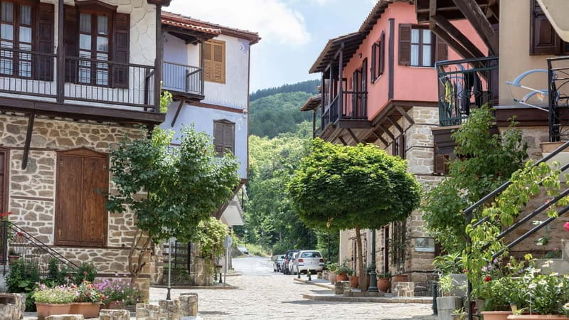 Thessaloniki: Halkidiki, Arnaia, Ierissos Swim & Tasting - Honey Tasting and Cultural Insights