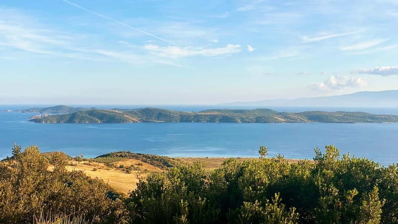 Thessaloniki: Halkidiki, Arnaia, Ierissos Swim & Tasting - Who Will Love This Experience?