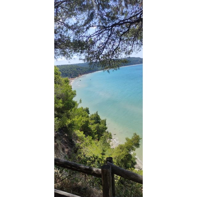 Thessaloniki: Halkidiki Beach-Hopping with Swimming - Practical Tips for Making the Most of Your Day