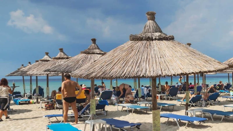 Thessaloniki: Halkidiki/Sithonia Swim, Sunset & Olive Tour - Price and Logistics: Value in Simplicity