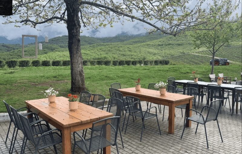 Thessaloniki: Naousa Wine Region Private Day Tour - An Inside Look at the Itinerary