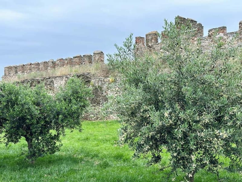 Thessaloniki Old Town Walking Tour-Culture-Nature-Plants - Key Points / Takeaways