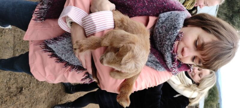 Thessaloniki: Visit a Farm and a traditional Village - Who Should Consider This Tour?