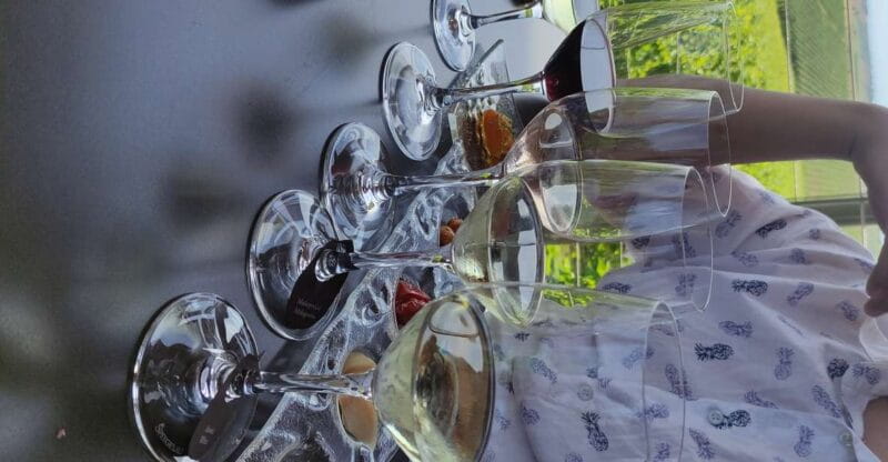 Thessaloniki: Winery Visit with Wine Tasting Experience - Exploring the Winery and Museum: A Walk Through Greek Winemaking