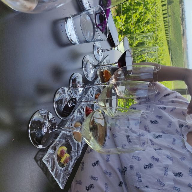 Thessaloniki: Winery Visit with Wine Tasting Experience - Tasting Five Greek Wines: A Flavorful Journey