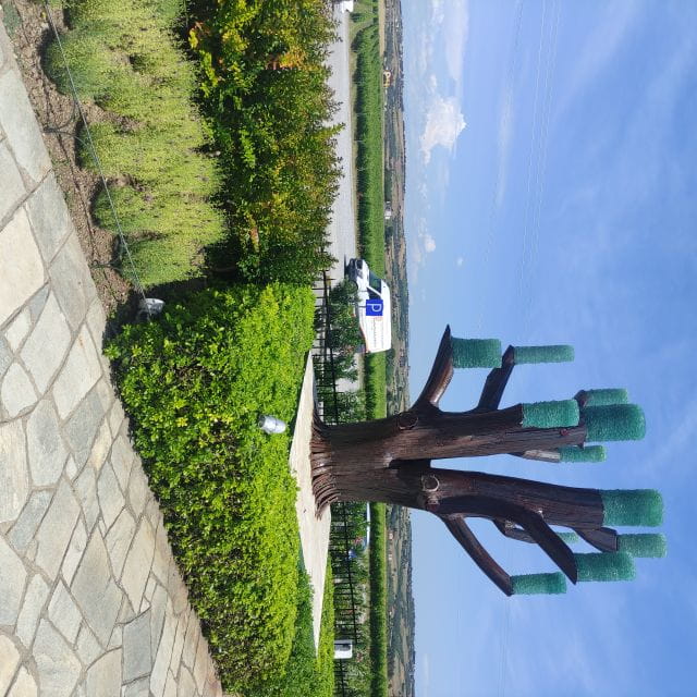 Thessaloniki: Winery Visit with Wine Tasting Experience - Frequently Asked Questions