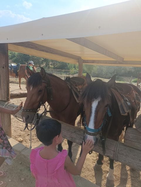 Thessaloniki:Horse Riding in a farm - The Horseback Ride: A Peaceful Journey