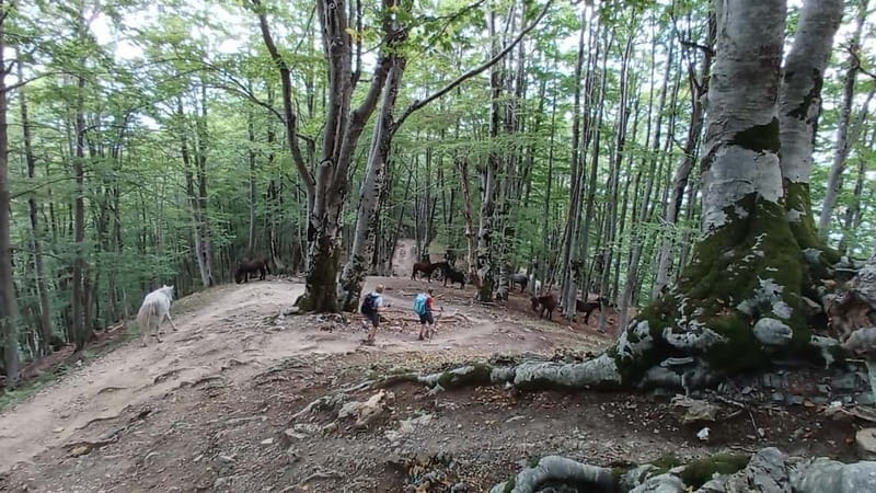 Theth Day Tour: Waterfall and the Blue Eye - Blue Eye: A Hidden Gem with Crystal Clarity