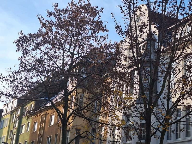 This is what made Dortmund rich to this day. Westenhellweg: Tour including a drink - Who will enjoy this tour most?