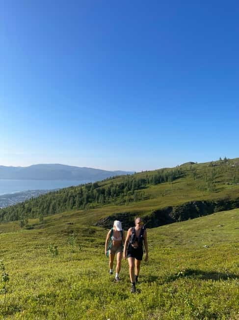 Thomsø: Guided Tour to Hidden Caves - Why This Tour Works Best for You