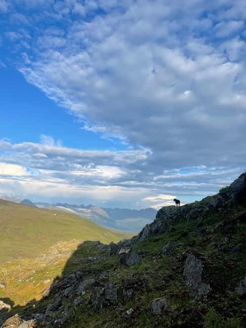 Thomsø: Guided Tour to Hidden Caves - FAQ