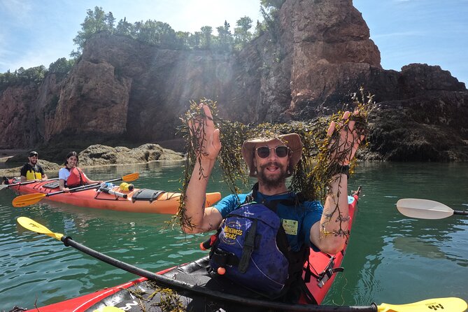 Three Sisters Sea Kayaking Day Tour - Picturesque Scenery