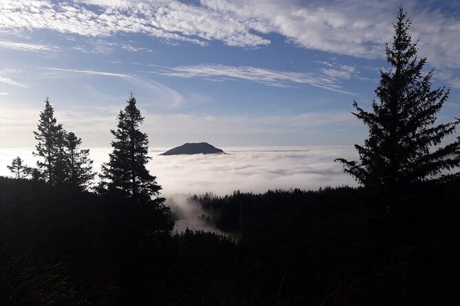 Three-summit hike in Bergen - Authentic Bergen: The Experience Beyond the Scenery