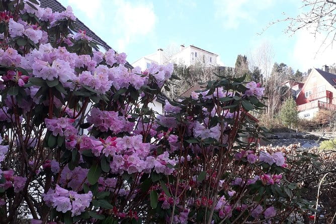 Three-summit hike in Bergen - Pricing and Value Considerations