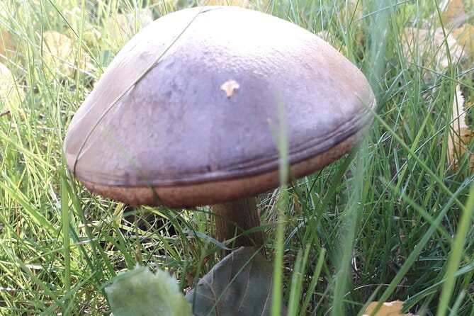 Three-summit hike in Bergen - Final Thoughts: Is This Tour Right for You?